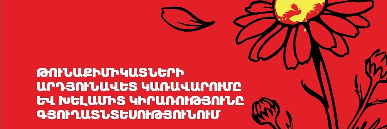 Deatail of Publication Cover