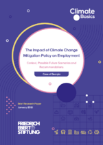 The impact of climate change mitigation policy on employment